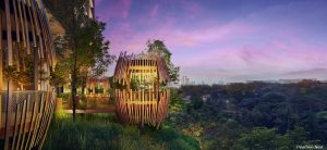 pinetree-hill-nest-singapore